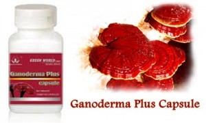 ganoderma-plus-300x180-300x180