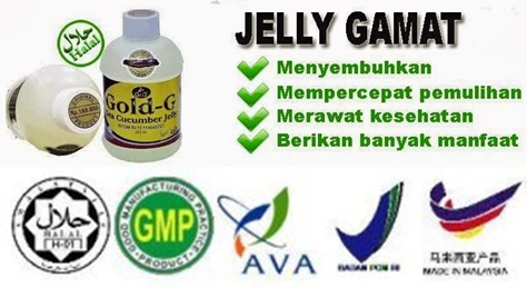 jelly-gamat-legalitas